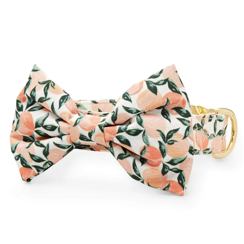 - Pet vitamin complex nutrition tabletsPeaches and Cream Bow Tie Collar