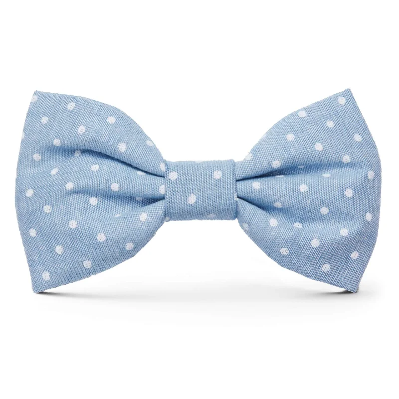 - Hamster silent running wheel to prevent chewingChambray Dots Dog Bow Tie
