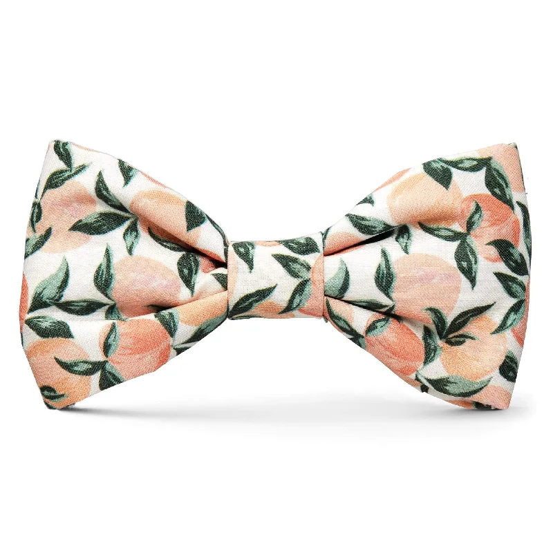 - Pet tear stain cleaning wipesPeaches and Cream Dog Bow Tie